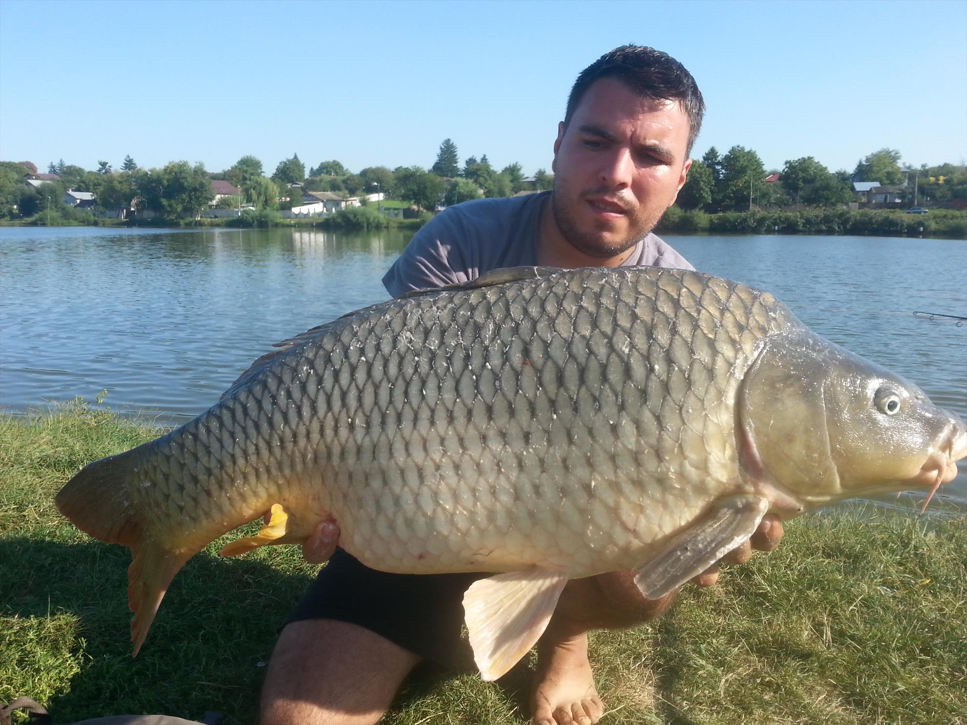 Moara Vlasiei 2 19 - 20 septembrie 2015 - 20150920162545.jpg